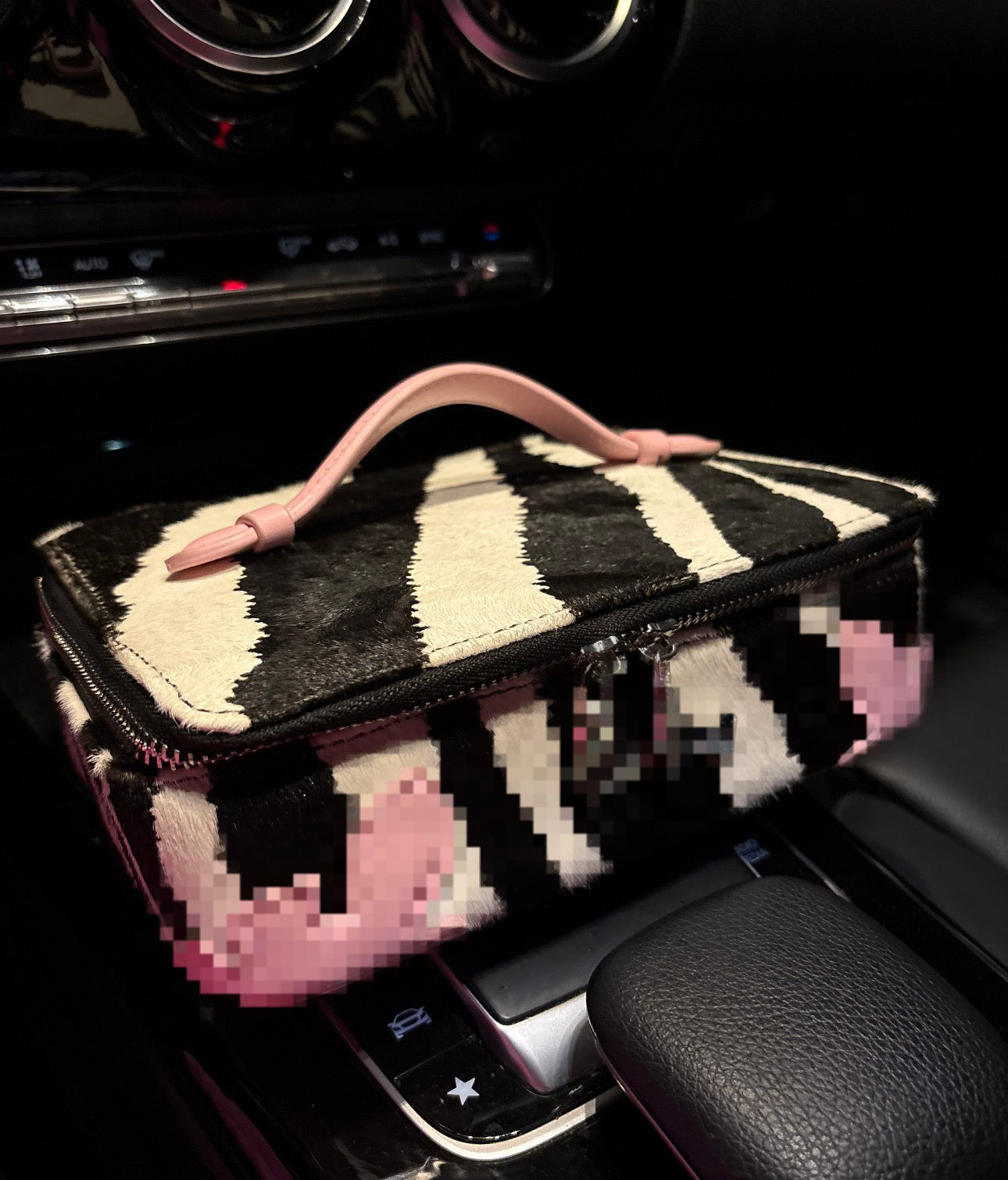 Lux CH Vanity Bag 🦓🎀 (ready to ship)