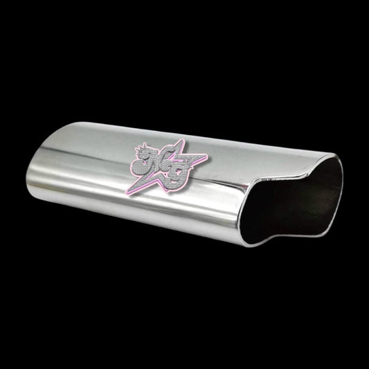 (Freestyle BIC) Junk Lighter Case (read description)