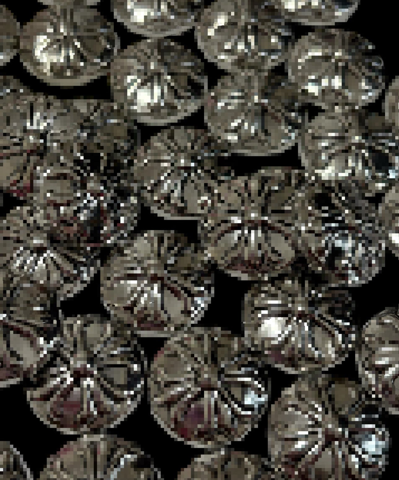 Silver Buttons